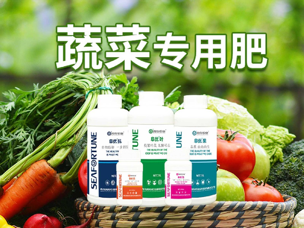 叶菜类蔬菜用什么肥料比较好 优选肥料与科学施用策略