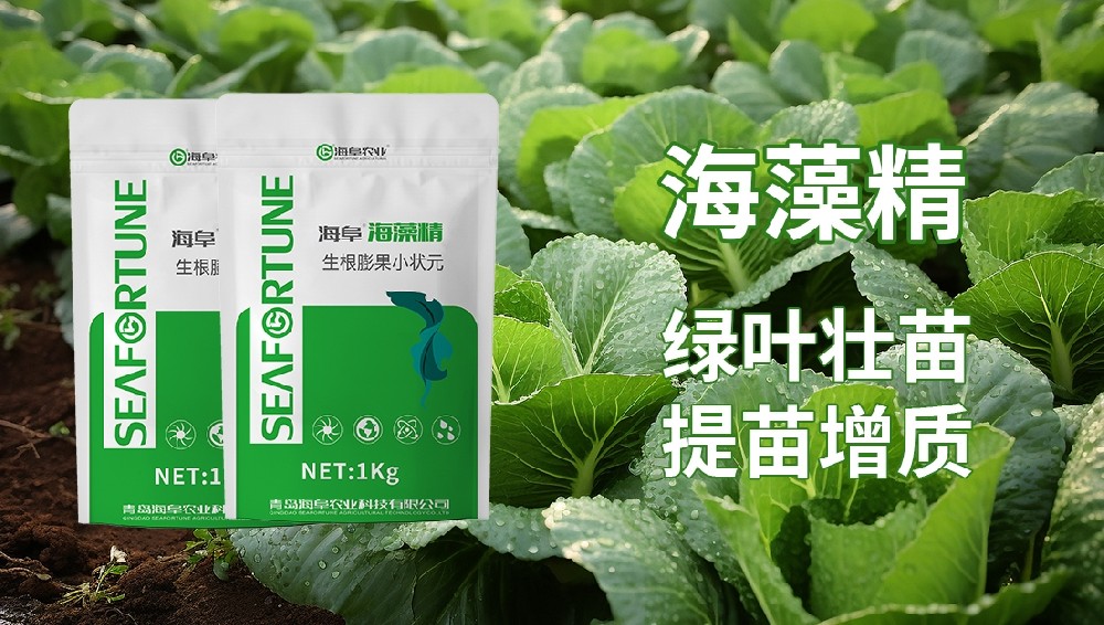 生菜用什么叶面肥最好用