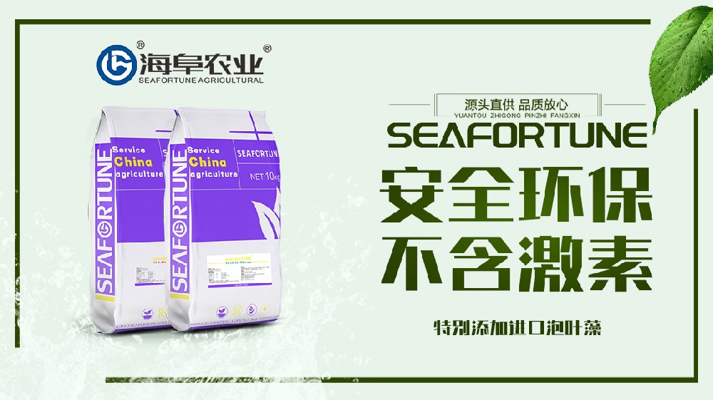 15 seafortune.jpg