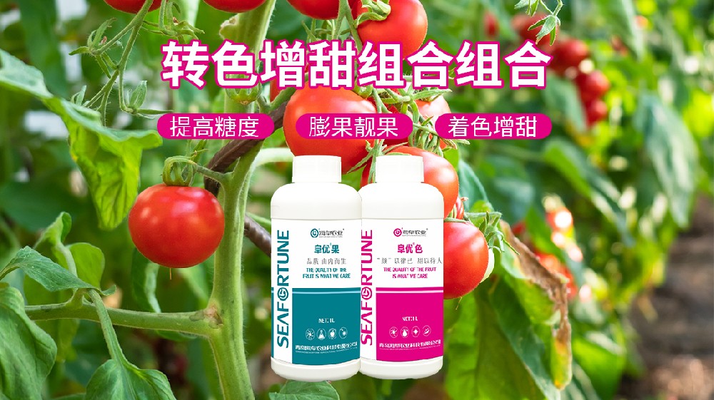 怎么让草莓变得更甜 从种植到管理的全方位指南