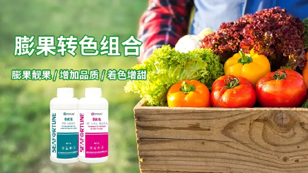 揭秘西瓜丰收的秘诀：底肥最佳配比方案