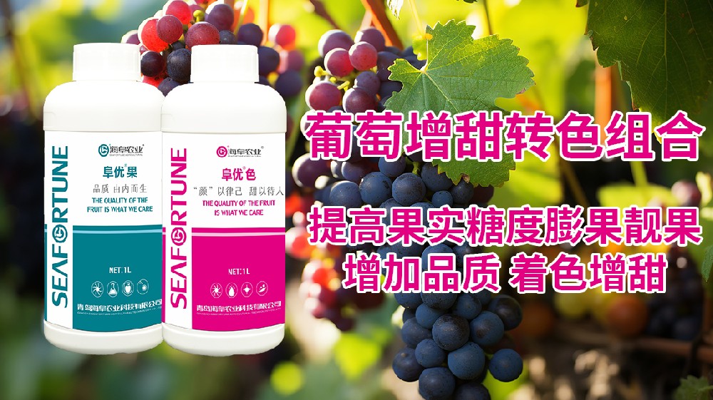 青岛颂田生物：探究葡萄树多年未结果之谜：原因何在？